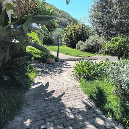 Il Rosmarino Apartment Ischia Exterior photo